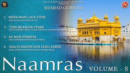 Various - Naamras Volume 8 - Latest Shabad Gurbani 2017