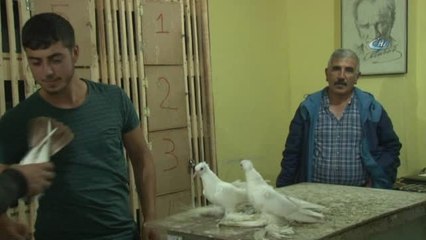 Kuş Mezatında Kıran Kırana Pazarlık