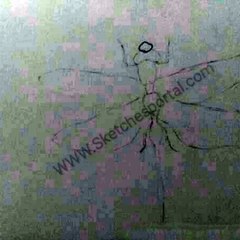 How to Draw a Dragon fly In 9 Steps