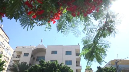 Filistinli Tutuklulara Destek Gösterisi