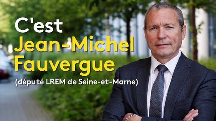 Fauvergue, Ruffin, Corbière... Ces nouveaux visages qui vont faire leur entrée à l'Assemblée