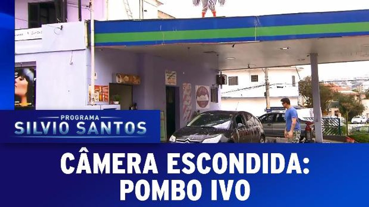 Pombo Ivo