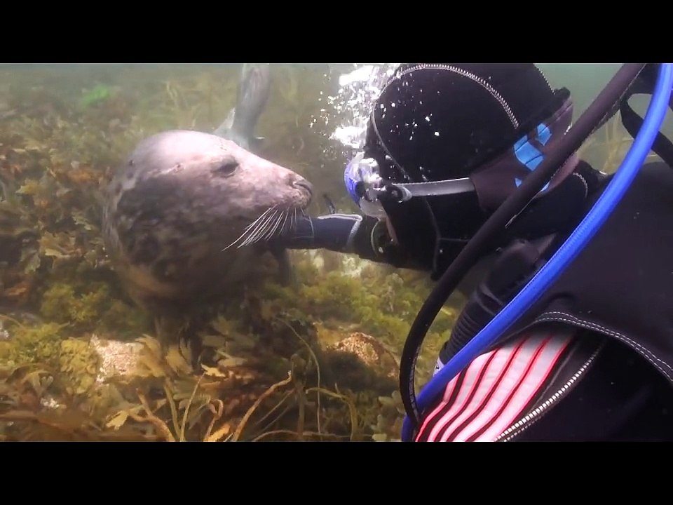 Gary and the seal in the Scilly Isles