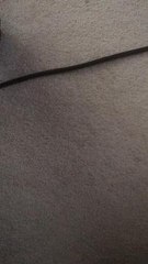 Best images of Brooks Koepka's U.S. Open victory