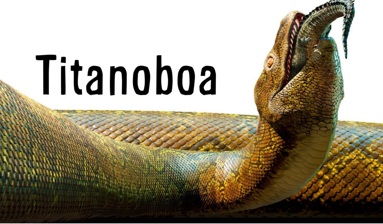 Un serpent préhistorique géant: histoire du titanoboa( un méga prédateur)
