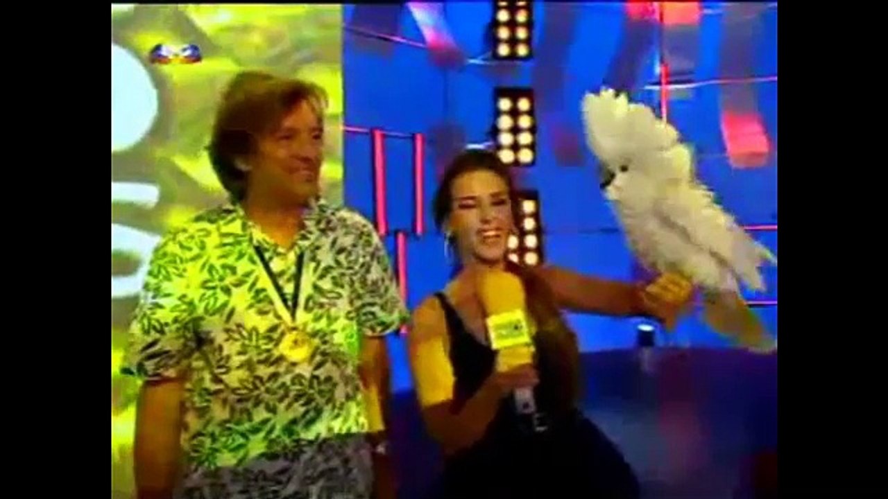 Spectacle de perroquets Mark Steiger