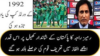 rameez raja saying about pakistan cricket team