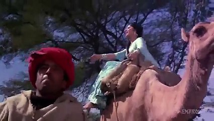 9576025871mps@gmail.com