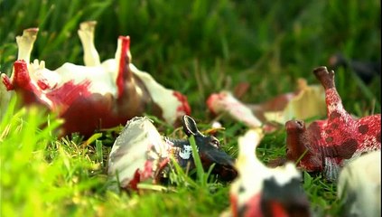 Bizarre ou quoi  [VF] - S02E01 - Saison 2 - épisode 1 - Rencontres du troisième type -