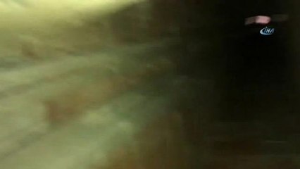 Havalandırma Boşluğuna Düşen Yavru Köpek Son Anda Kurtarıldı