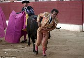 Hurry up, I'm dying Final words of award-winning matador as he was carried from the ring after being gored when he tripp