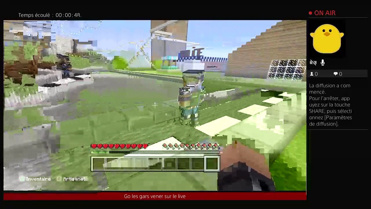 RP sur Minecraft (49)