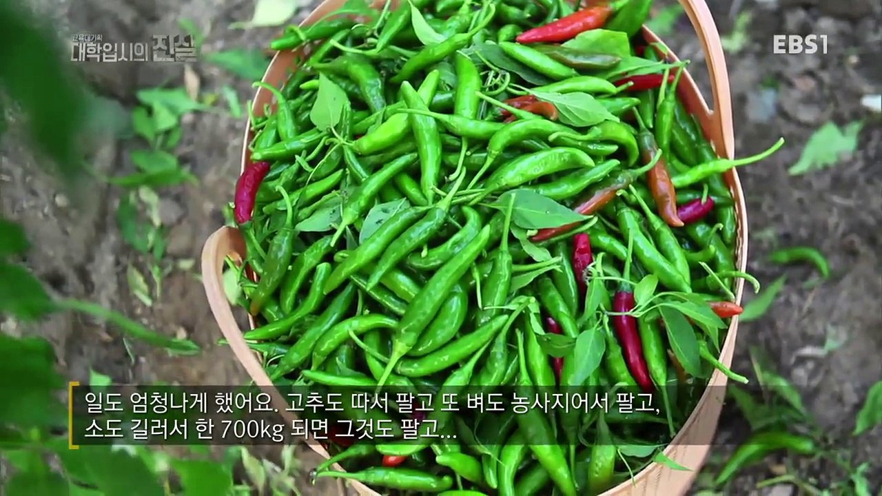 EBS 다큐프라임 - Docuprime_'대학 입시의 진실' 5부- 교육 불평등 연대기_#001