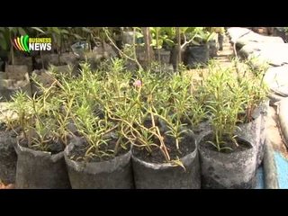 Business TV Weekly No.13 (31 August, 2013)