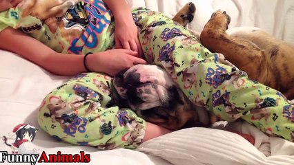 Funny Babies Sleeping With Dogs - Dog Loves Baby Compilation 2017