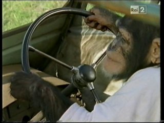 Il nostro amico Charly 5x11 - Il tesoro