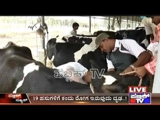 Kolar: Doctors Confirm Brucellosis Disease Among Cattles In Varthur Prakash's Farm