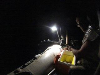 pêche aux calmars moulinet eletrique (1)