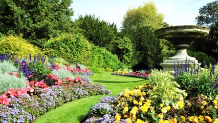 Ramiro's Garden Service LLC - (818) 336-4110