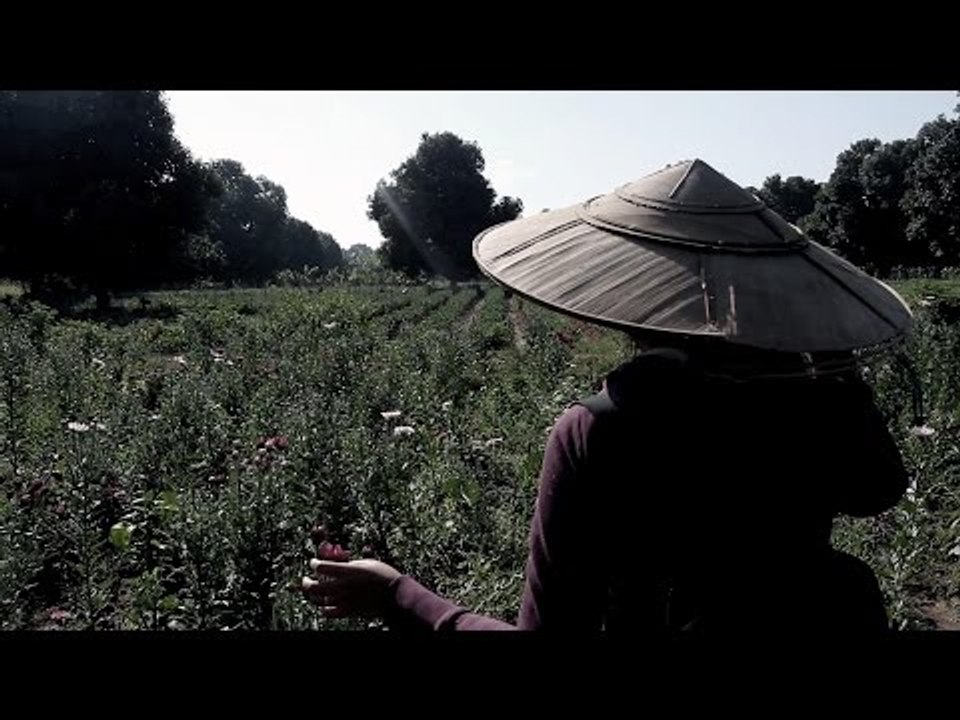 TASTY TRIP _ ေတာင္ပတ္လည္ၾကားကၿမိဳ႕ သို႔မဟုတ္ မိုးကုတ္