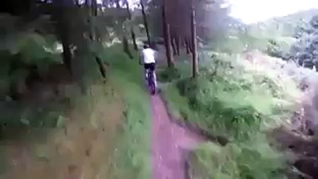Des mecs à vélo se font une jolie petite balade en forêt quand soudain...