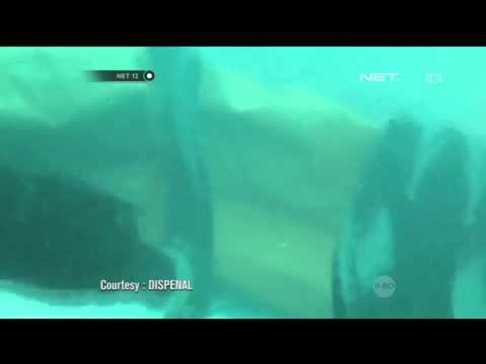 Basarnas Akan Tetap Melanjutkan Proses Pencarian Korban Air Asia - NET12