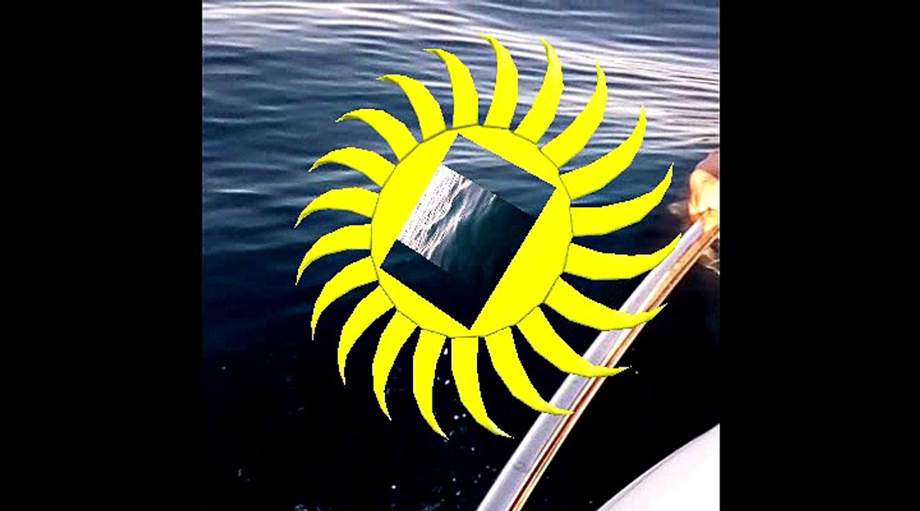 Le monde des Grands dauphins