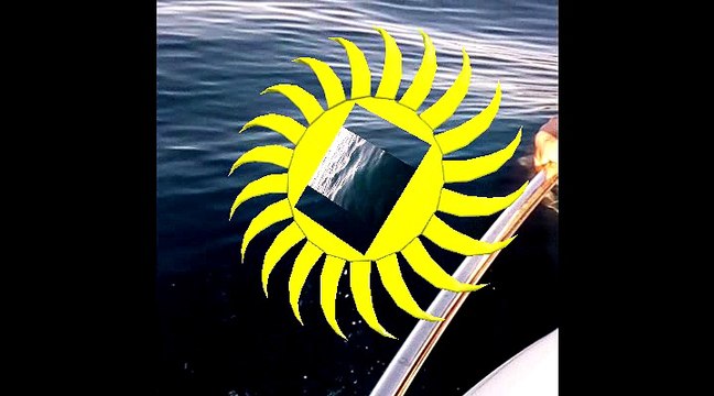 Le monde des Grands dauphins