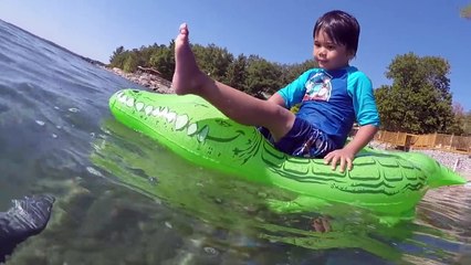 Tiburón ballena ataque chico conejo peleas con tiburón hallazgo Gallo mala bebé tiburón juguetes