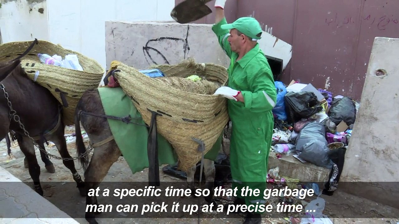 Donkeys at dawn: a rubbish job in the Algiers Kasbah