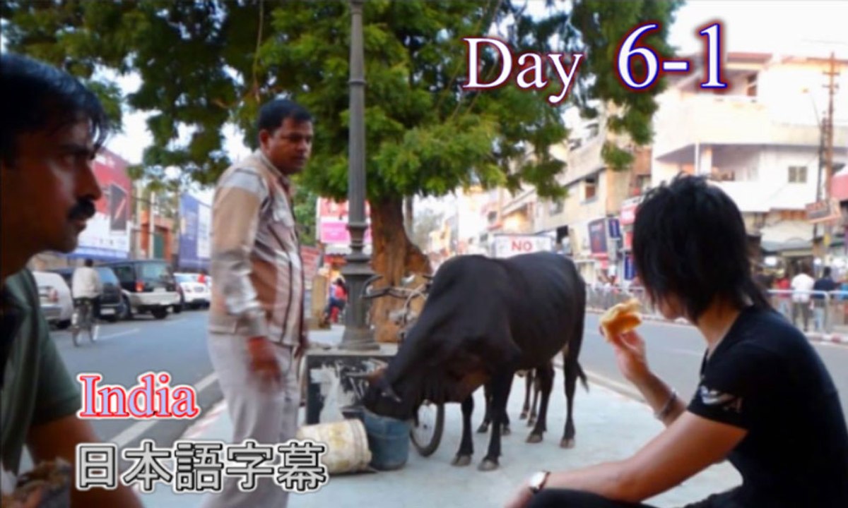 d6-1,字幕付き,インド旅行,バラナシ,デリー,電車,寝台列車,夜のインド,名古屋ホストクラブ社長の海外旅行,जापान से भारत की यात्रा।