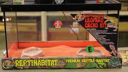 Alagang Magaling S7 EP1 - VERSELEGA - ZOOMED PRODUCT