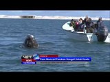 Migrasi sejumlah paus di Meksiko ciptakan pemandangan indah - NET12