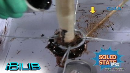 iBilib: DIY cotton candy experiment