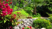 DIY   Easy Succulent Garden