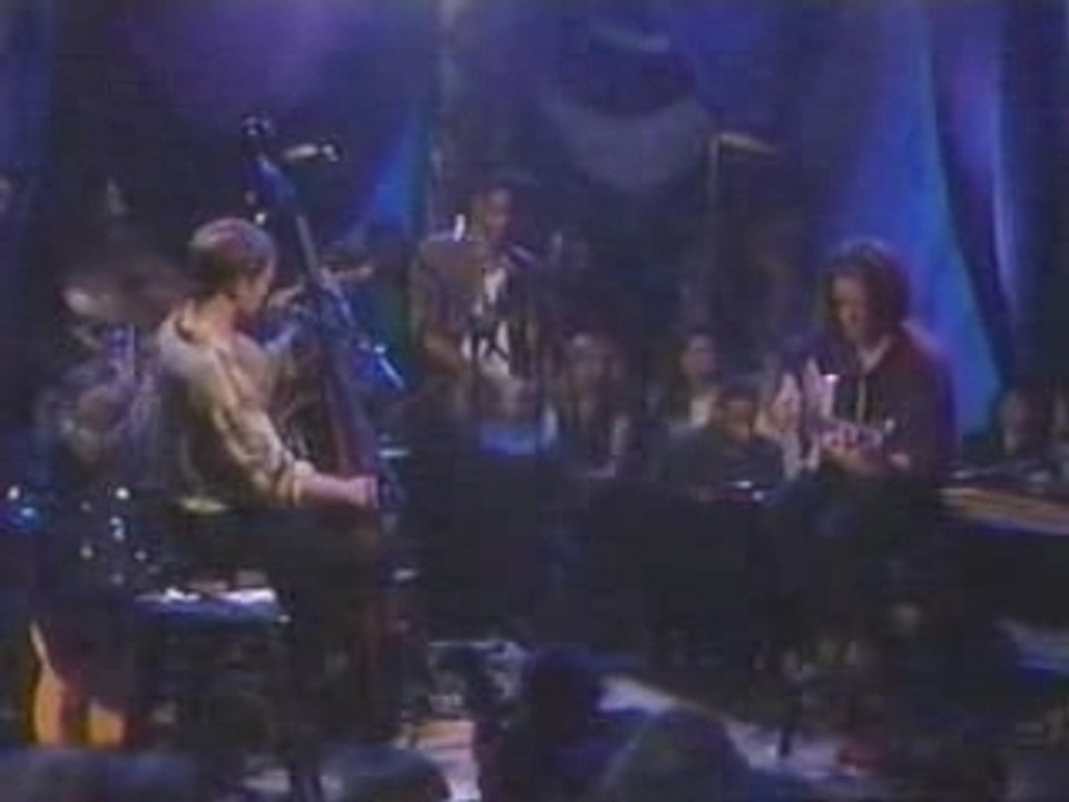 Sting-Wild Wild Sea-Unplugged