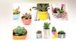 50+ DIY Succulent Planter and Terrariums Ideas - DIY Pots Decoration