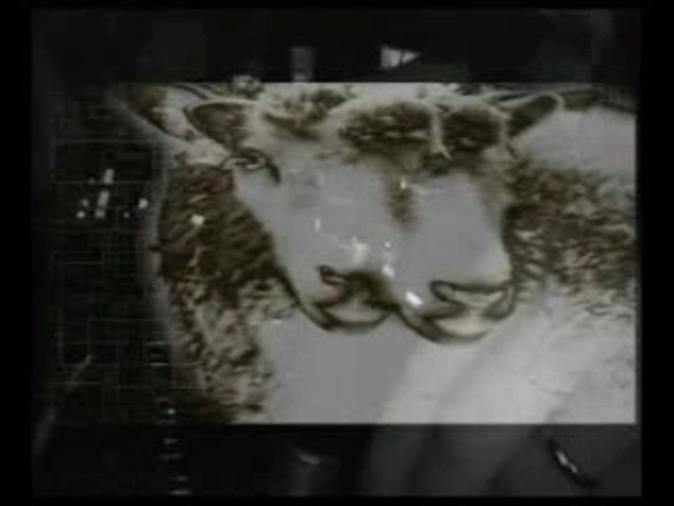 David Guetta & Joachim Garraud - Red Light Paris Feb 2005