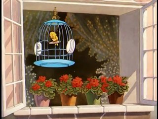 Tom_and_Jerry_-_The_flying_cat comedy video in hd