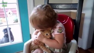 Getting a Kitten for Christmas Compilation 2013