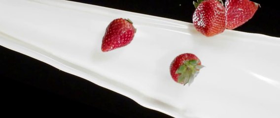 Modhani Yogurt with Tumeric