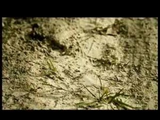 Vidéo "officielle" Guy Moquet projetée le 22/10/2007