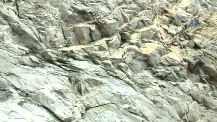 Dağları Delip Taşı Çıkartıyor, Yurt Dışına İhraç Ediyor