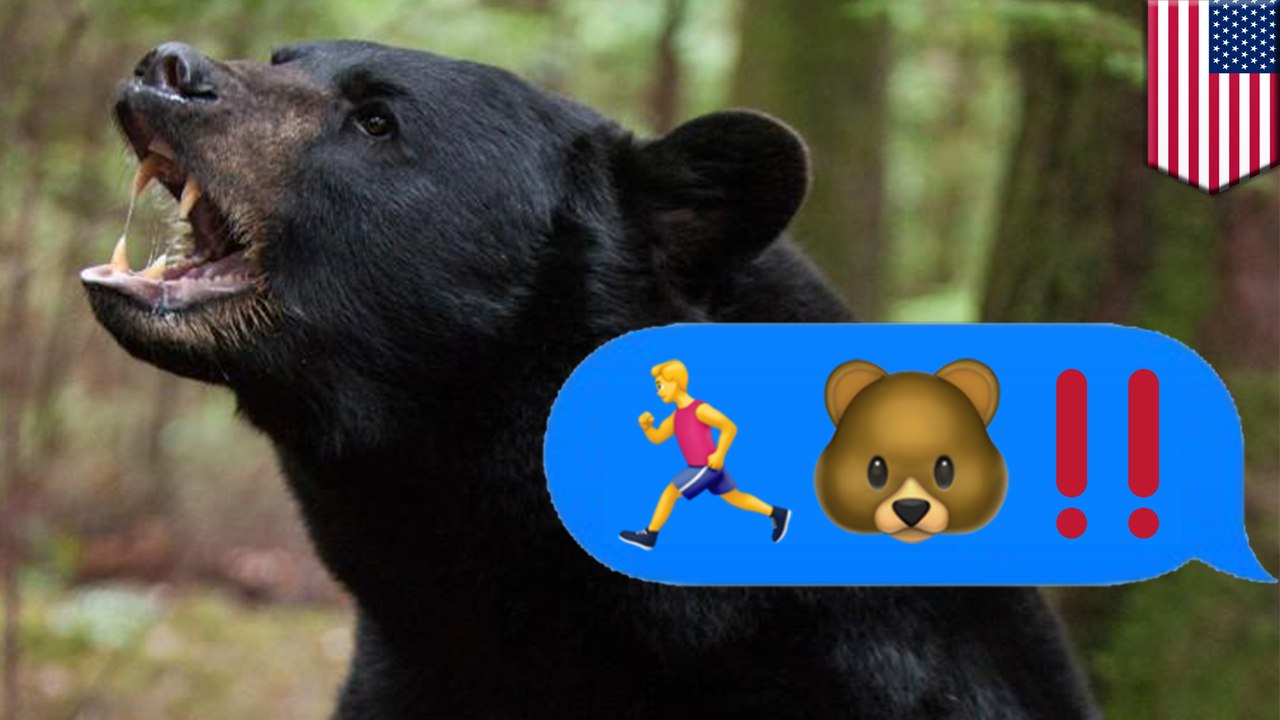 Alaskan teen mauled to death by bear running down mountain