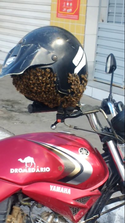 Mettre ton casque ne te sauvera pas toujours... pas ce casque en tout cas!