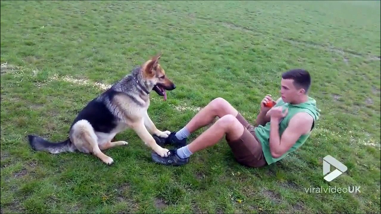 Quand ton chien est ton entraineur!