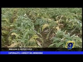 Brindisi | Caporalato, 4 arresti