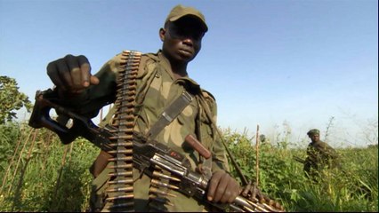 DR Congo: Thousands of troops deployed to push out rebels from wildlife park