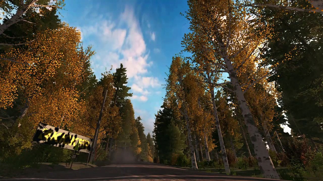 DIRT RALLY