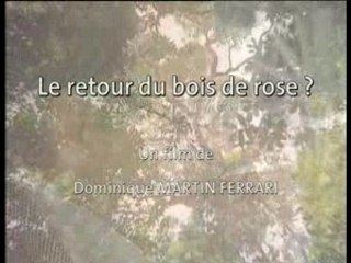 Le retour du bois de rose ?